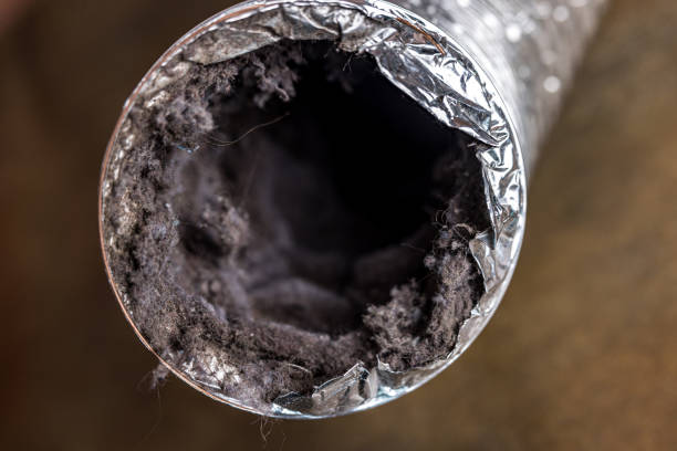 Best HVAC Duct Inspection Services  in Atwood, TN